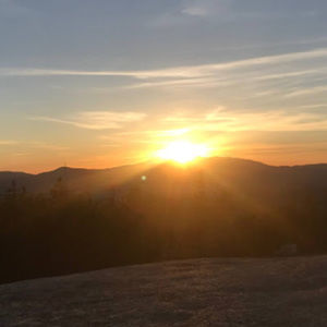 Meet your Posher, Molly